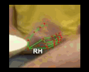 37ff6f5f3449.gif
