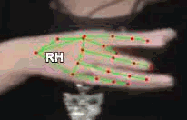 39543d4e5385.3