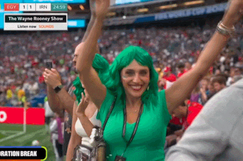 fans.gif