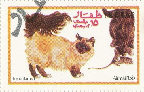 IMG 4254.jpg