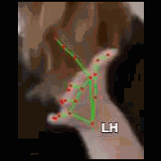 0ee43df4734a.3