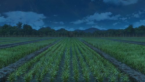 screenshot full.2