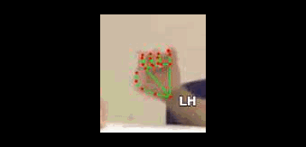 b954113e3c2b.gif