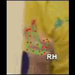 46691f8c8c26.gif