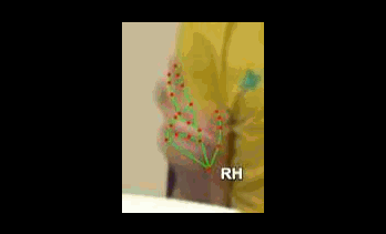 747b342b3847.gif