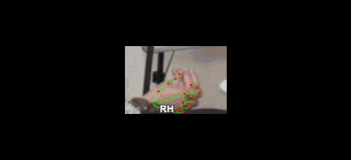 7f585428e905.gif
