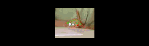 afdf3676cc4b.gif
