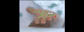 477bde93d2ad.gif