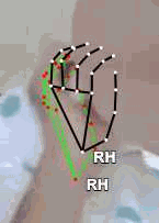 c56dab178e6e.gif