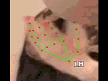 5d9e5563a4b3.gif