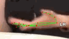 fe2ff2d64b94.gif