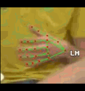 d0edd186483c.gif