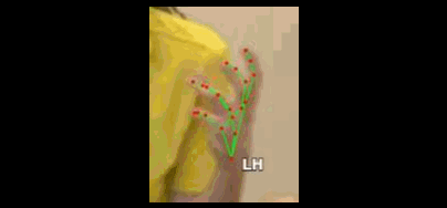 08c452f2ee89.gif