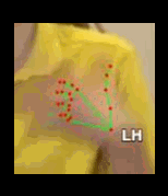 33dc8a7fe461.gif