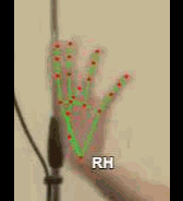 f4e1b5fb7d5f.gif