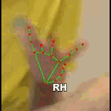 c879f08b05d3.gif