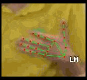 f9d8c4bc447b.gif