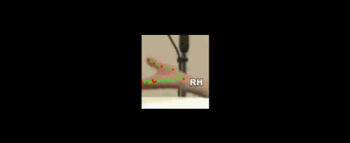 f25de3a64628.gif