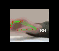 dff241b871e4.gif