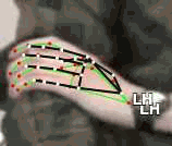 316be38dd620.gif
