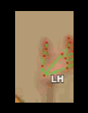 51727b1e4fd9.gif