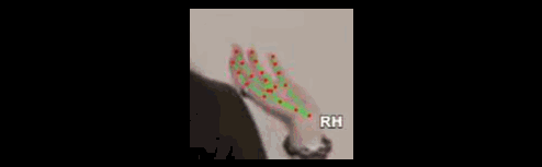 029a4c1db230.gif