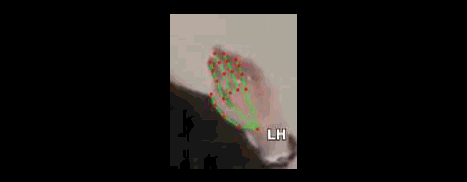 8a708b97bea2.gif