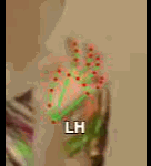 08f2b779cf62.gif