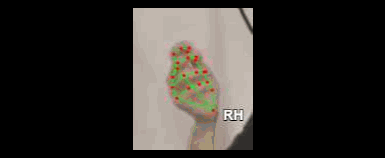7138370fcb77.gif