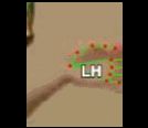 1928b76382e6.gif