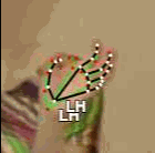 52fddf8e790f.gif