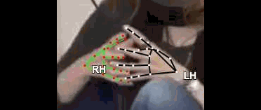 65bd158c97c7.gif