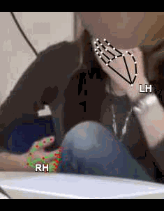 8015f302d9cc.gif