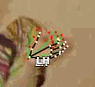 2ab706ac2a86.gif