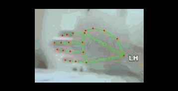 f6e1d59b8386.gif