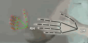 6999657a66ba.gif