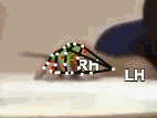 3901aa86cebc.gif