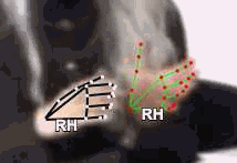 4fdca54c0e66.gif