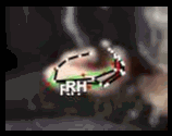d75b4902959c.gif