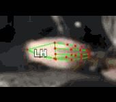 27319dabb616.gif