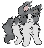 IMG 8498.png