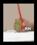83459a183776.gif
