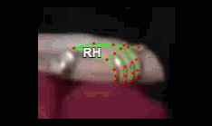 61a2204c8b4d.gif