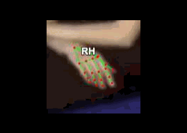 8cd445ac4e67.gif