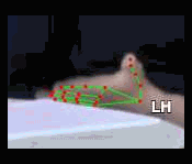 53bf37a582d2.gif