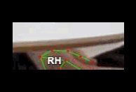 b54667e12455.gif