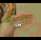 178c4def9f9e.gif