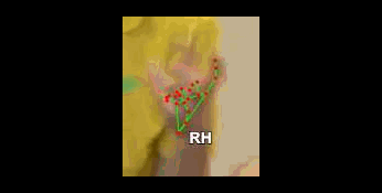 689bf67d58a8.gif