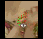 0f39adaab73e.gif