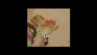 a286dda835d4.gif